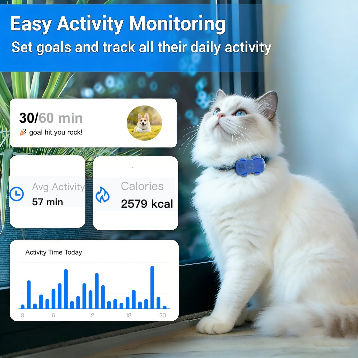 GPS Pet Tracker for Dogs and Cat -  Real Time Tracking, Unlimited Distance, QR Code Anti-Lost Locator with 1-year Service