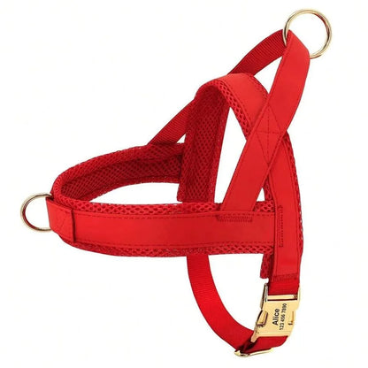 Personalized Leather Dog Collar Harness Leash Set  - various sizes